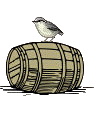 The gentle bird [~sister] of San Francesco di Assisi (it. "little French", eng. Francis, hun. Ferenc),  on the barrel [cask:vat:tub:cup] (lat. cupa ->  cuparius, eng. cooper, ger. K�fer:Kiefer:Kiefner:...)